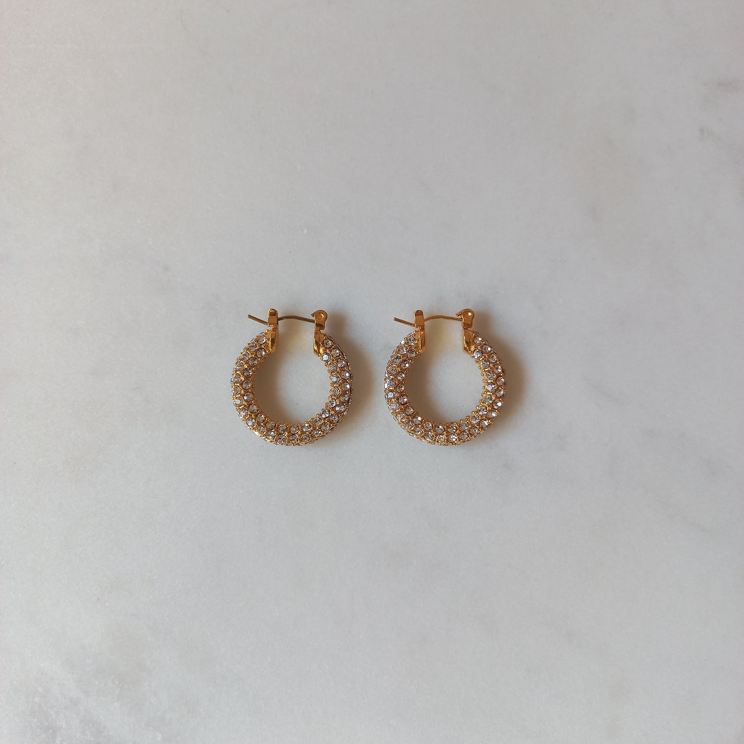 EMILY HOOPS