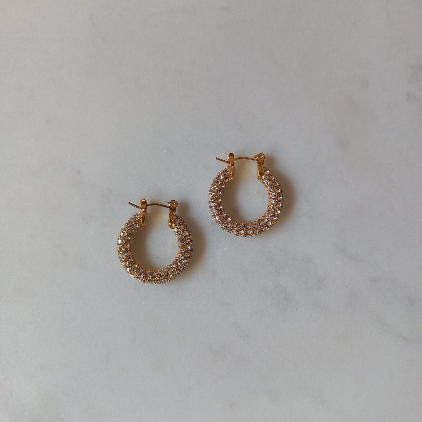 EMILY HOOPS